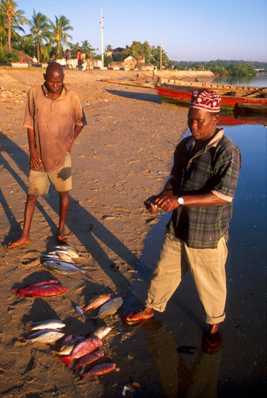 Nyodo Selling Fish